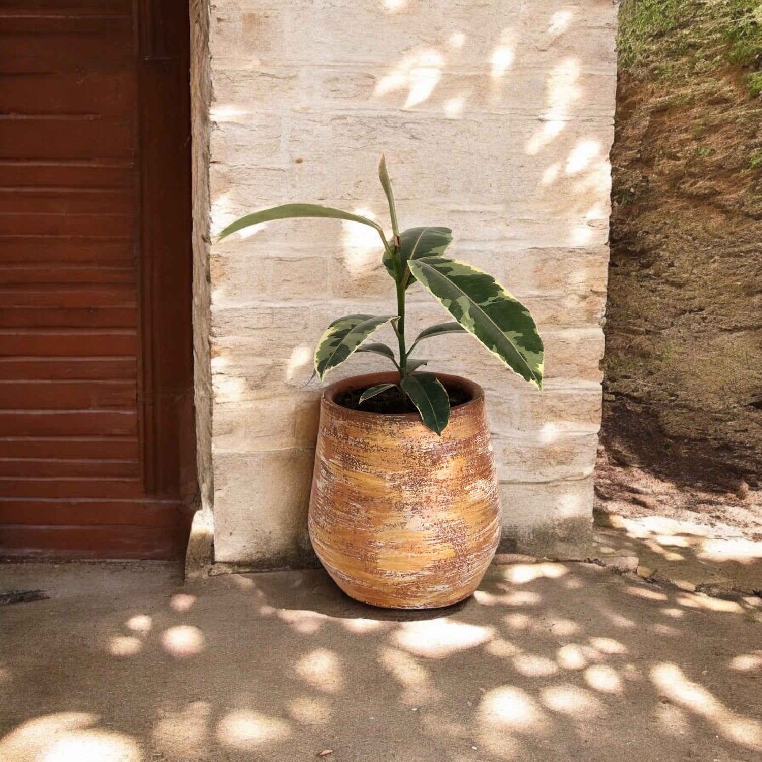 Maceteros y Plantas