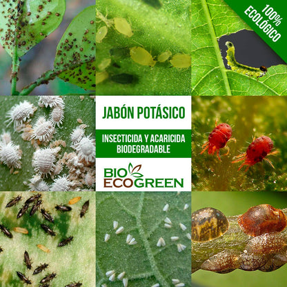 Jabón Potásico 1 Lt