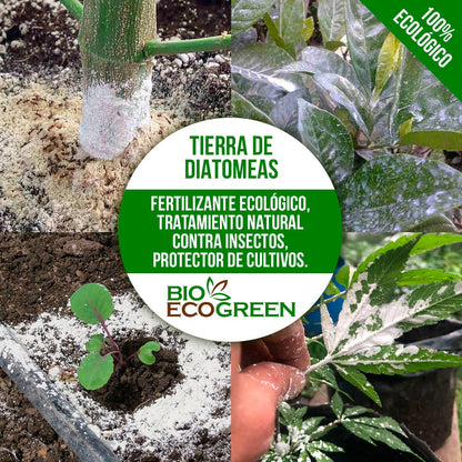 Tierra de Diatomeas 1 Kg