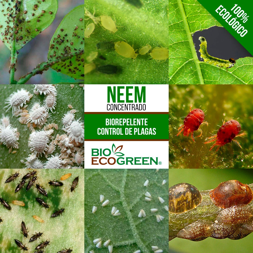 Aceite de Neem 90 cc