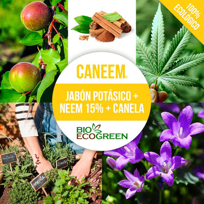 Caneem 1 Litro.