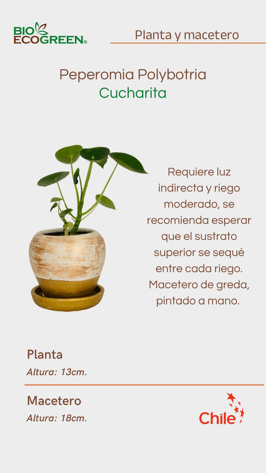 Cucharita + Macetero (Diseño 1)
